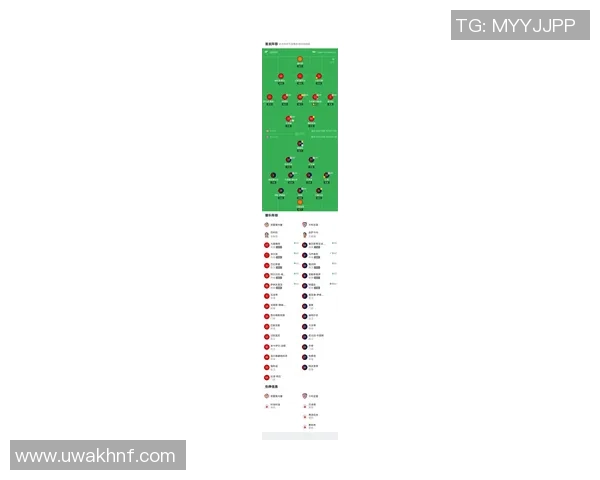 丹麦足球新闻聚焦国家队新阵容与即将到来的国际比赛分析