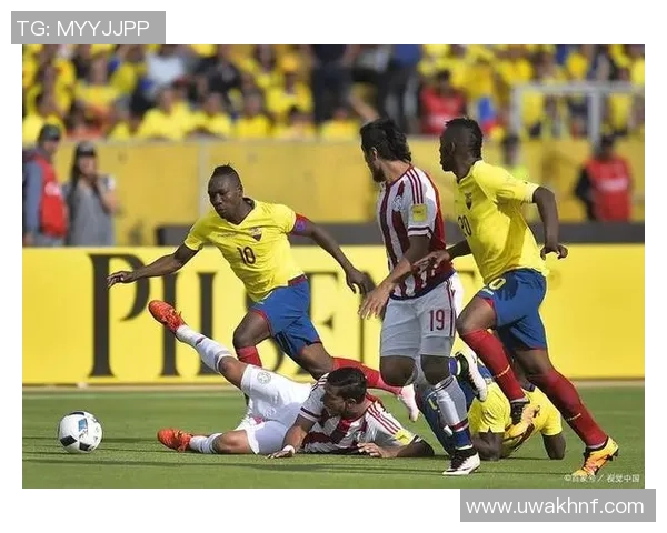 2018年世界杯足球盛宴回顾与精彩瞬间解析