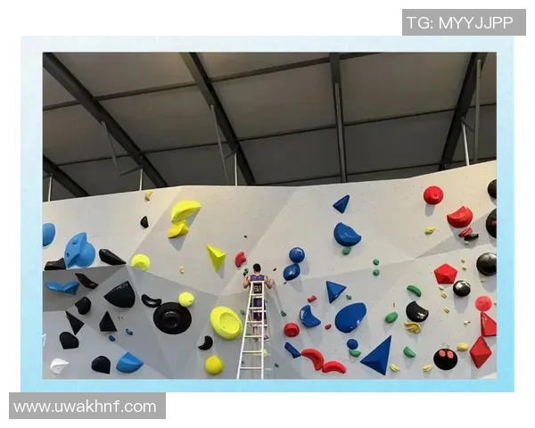 深圳攀岩队个人能力分析与提升策略探讨之攀岩焦点 深圳攀岩队个人能力分析与提升策略探讨之攀岩焦点