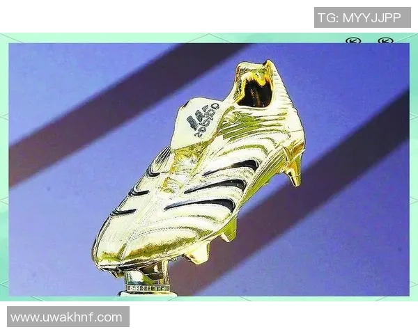 足球24球星的传奇旅程与辉煌瞬间回顾