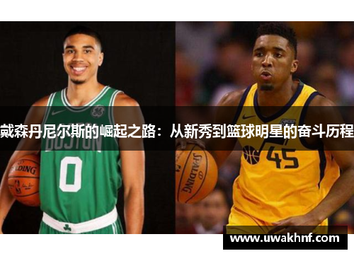 戴森丹尼尔斯的崛起之路：从新秀到篮球明星的奋斗历程