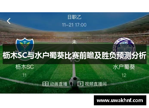 枥木SC与水户蜀葵比赛前瞻及胜负预测分析