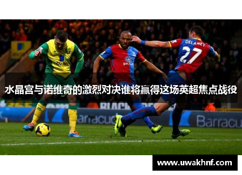 水晶宫与诺维奇的激烈对决谁将赢得这场英超焦点战役
